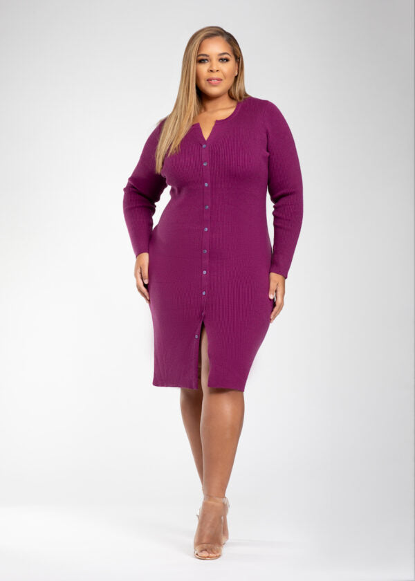 Angela Button-Up Sweater Dress